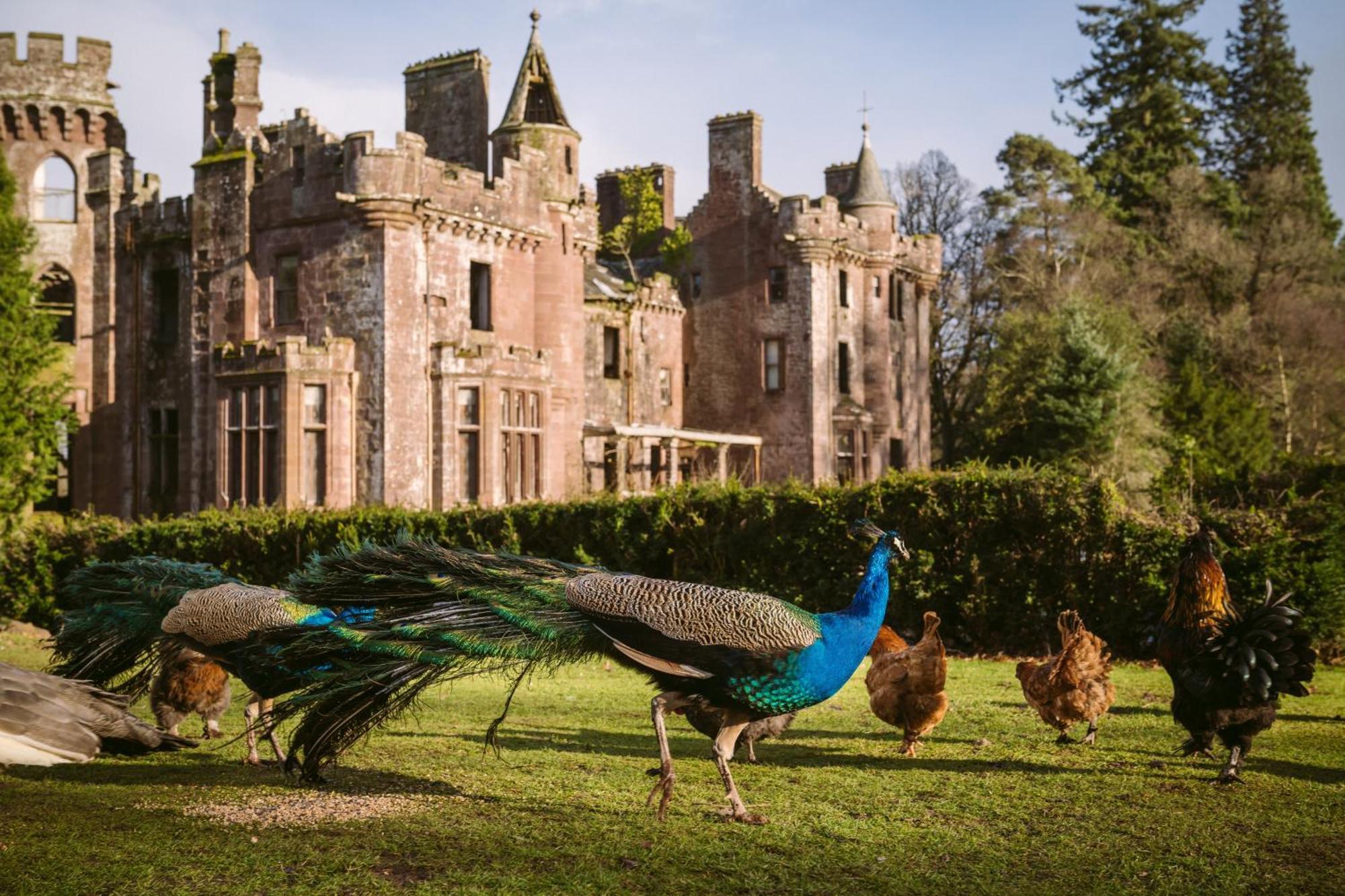 Luxury Woodland Lodge Retreat At Culdees Castle Crieff Exterior photo